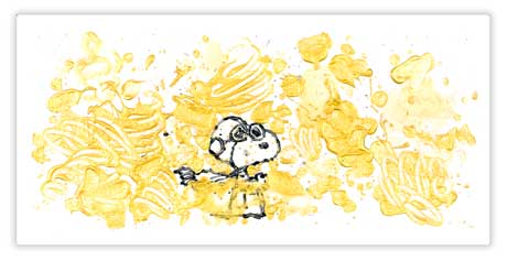 Tom Everhart's Partly Cloudy 6:30 Morning Fly - Snoopy Flying Ace in Sky